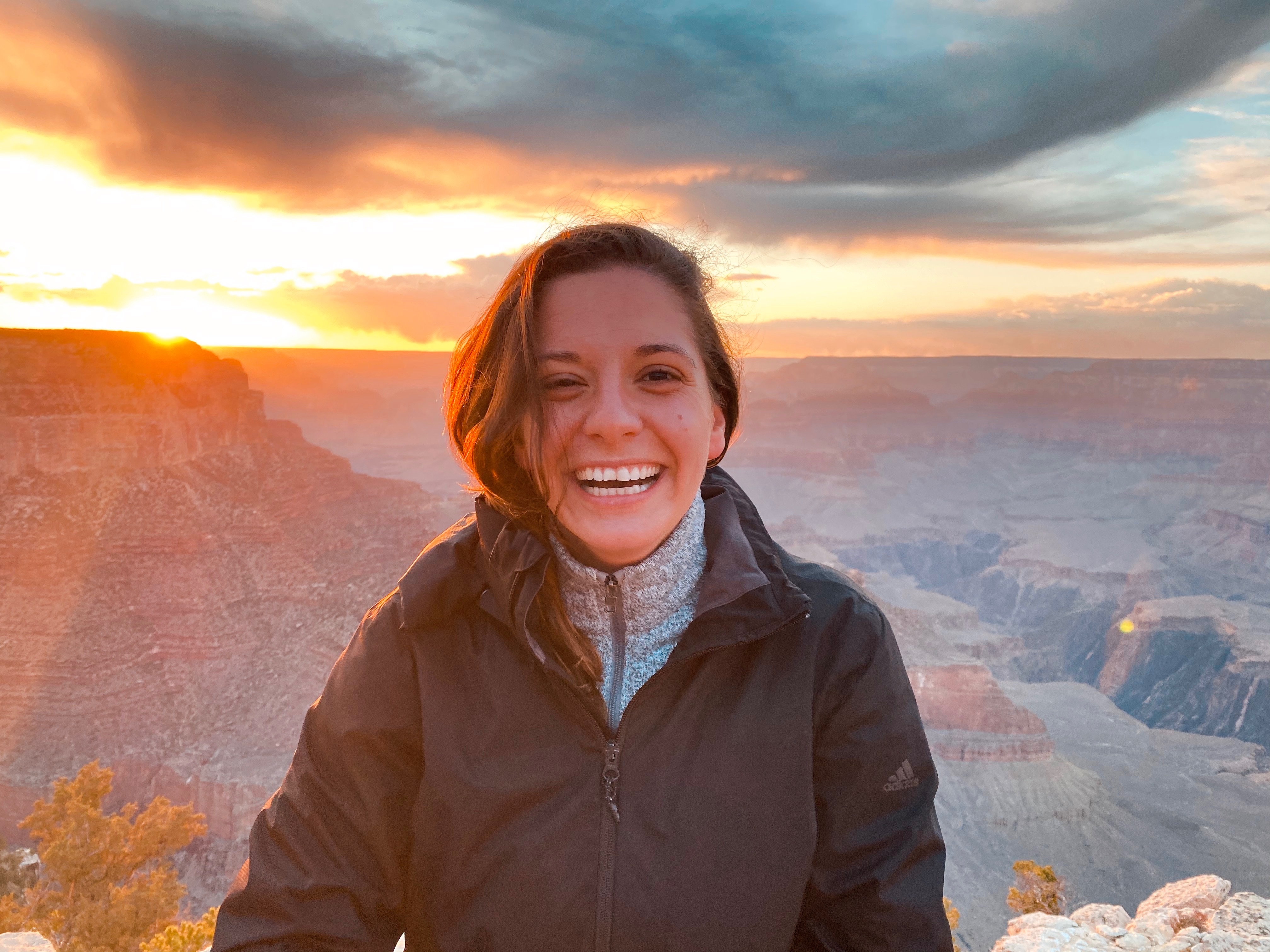 Title Image of Talk From Cold War Satellites to Modern Gamma-Ray Astronomy