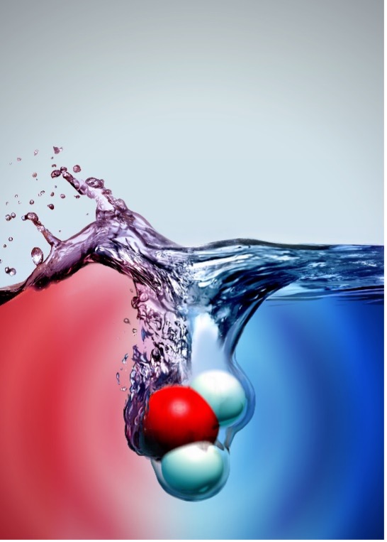 Title Image of Talk Water's molecular dance